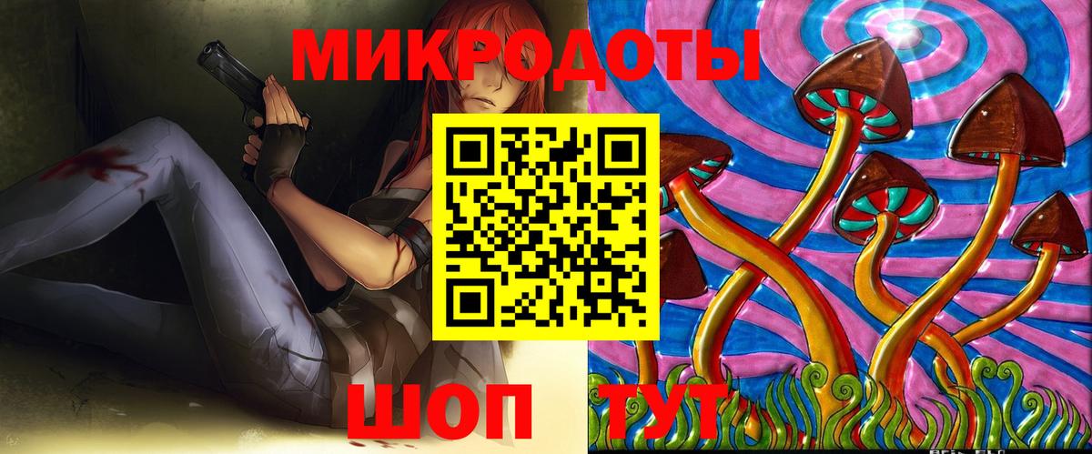 Галлюциногенные грибы Psilocybine cubensis Нижнеудинск