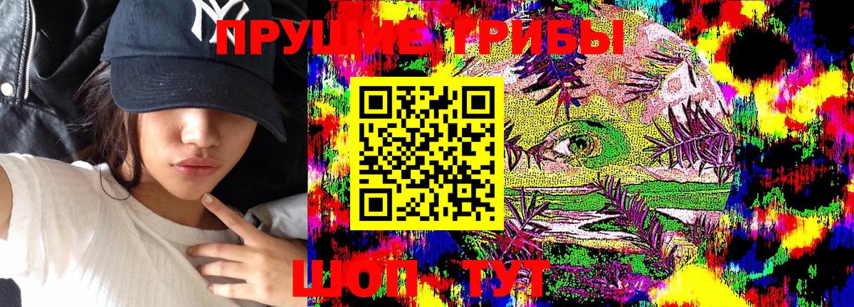купить  цена  Вход с VPN  Нижнеудинск  Галлюциногенные грибы GOLDEN TEACHER 